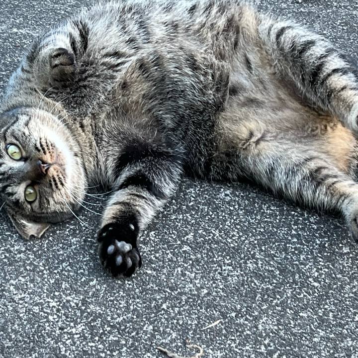 1b629458 0c64 49af baca 6b3538cd8467 1762035510525