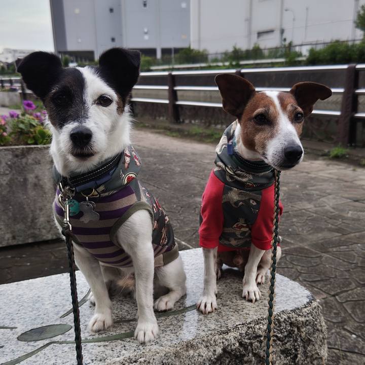 1b62bc7f fde1 4a50 b4af 4f165e6b2709 1755125112797