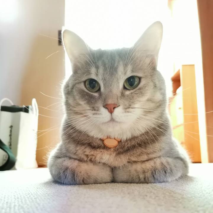 1b62c79e 4151 46ba adbf 932c0cf40dd5 1601956191774