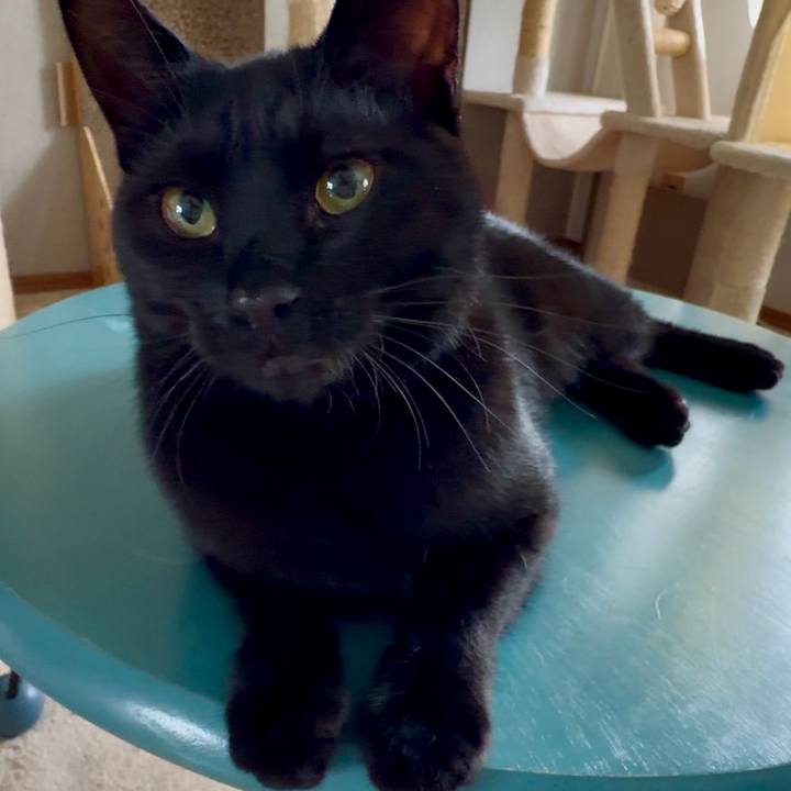 1b62f5e1 eab8 4e26 bcd0 971063681357 1745624903898