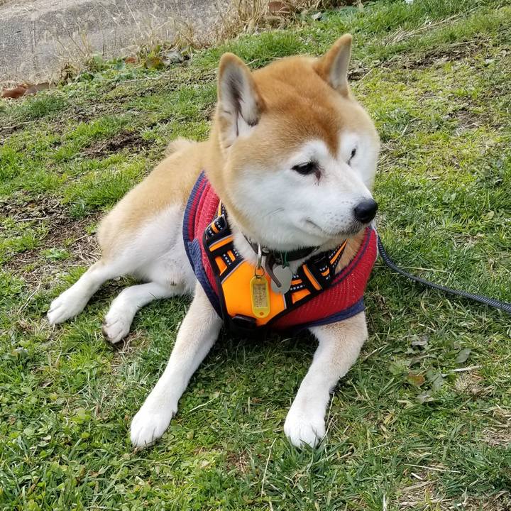 1b630514 65c6 448b a487 7d8c423d982d 1607599653760