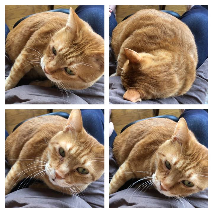 1b6314a1 a730 404a b63b b2262e52fbda 1637204443507