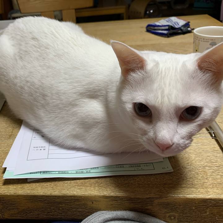 1b6316a2 5faf 4c8d b8e9 7b88cfaff58e 1618146094489