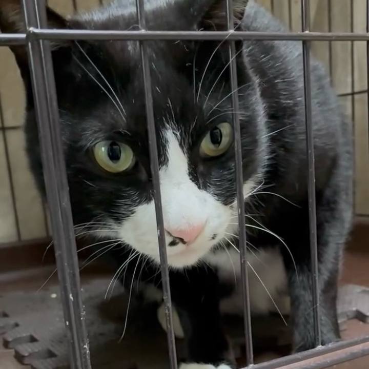 1b633e2c 87a3 45cb bb27 1eac378a0aaa 1746870779078