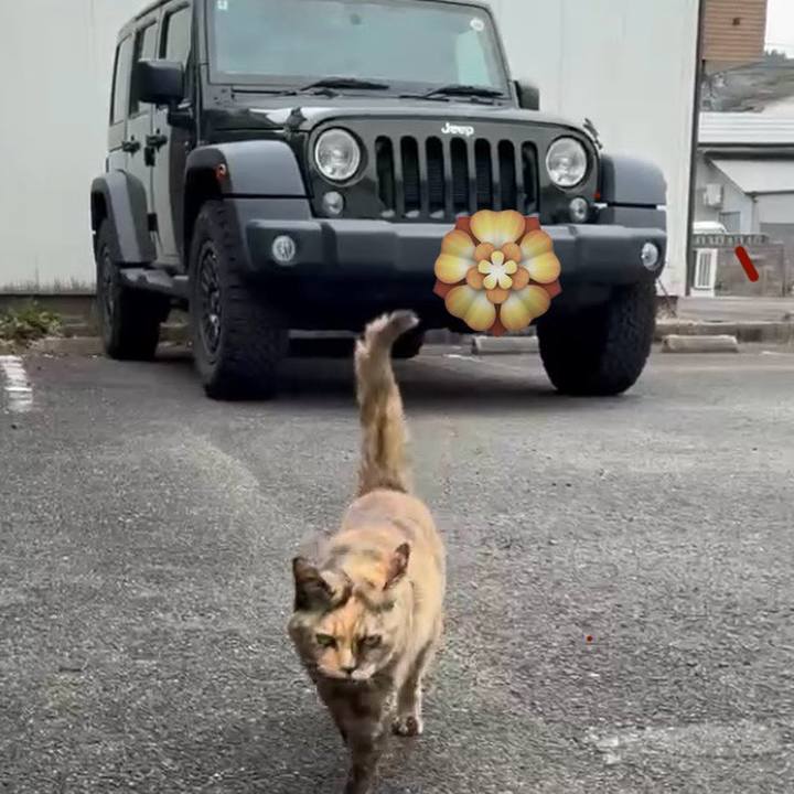 1b634dc7 fad3 4a99 bf5a 58fc5ef59191 1773583131527