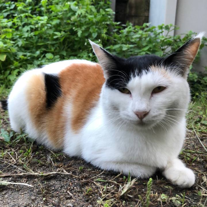 1b634fe7 ea9b 4e4a b714 1da261286574 1600424774168