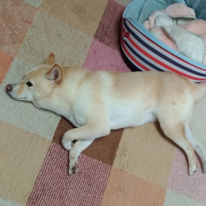 1b635a3e 89df 4aea 94cc bb3920f8f354 1576973523085