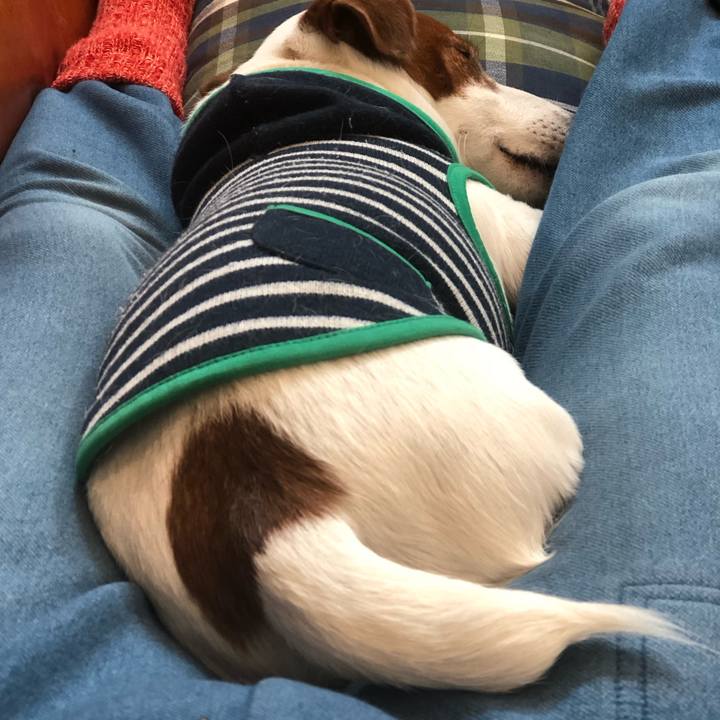 1b635c69 a4f5 4196 8b02 9a0c1988df84 1672743941105