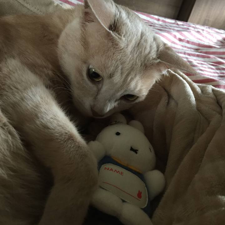 1b63791a 1f38 4227 b532 a5b995e954b6 1563254036372