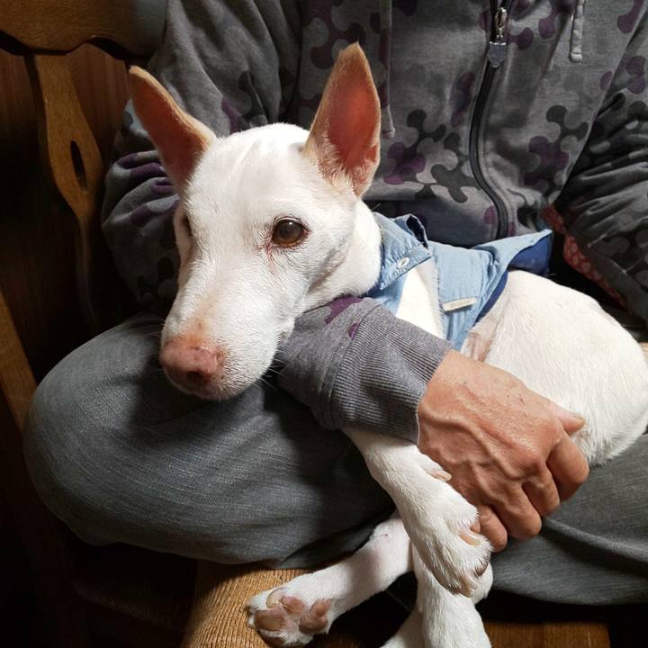 1b6384ed c7c2 400e b1fe 4d7a8bec75b2 1572078564366