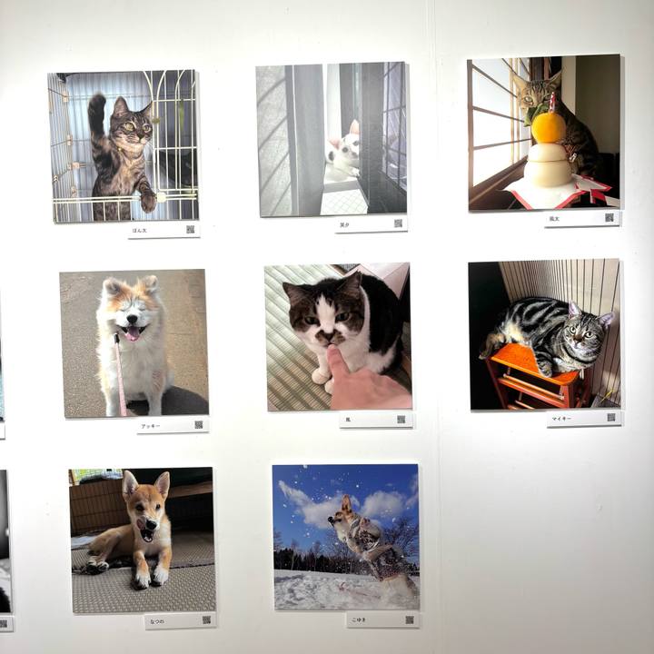 1b639238 d1a4 4a85 a267 4c23dd2a040d 1762074747867