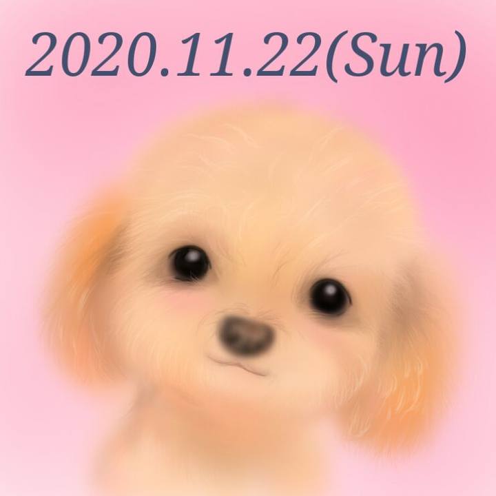 1b6394bd d231 402e b1f5 7f8d3c722d69 1606012974045