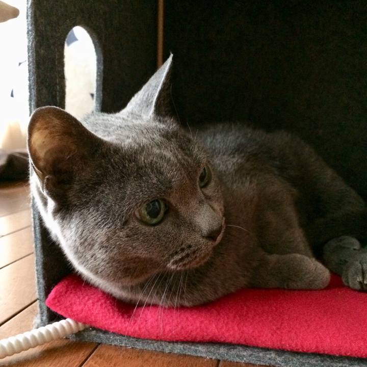 1b63d6af d5a5 45f9 aca6 b68a4e0e530d 1540028295557