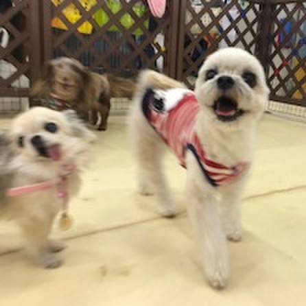 1b63df84 ebee 47cc 8def 9c969d6ae3bb 1523572118939