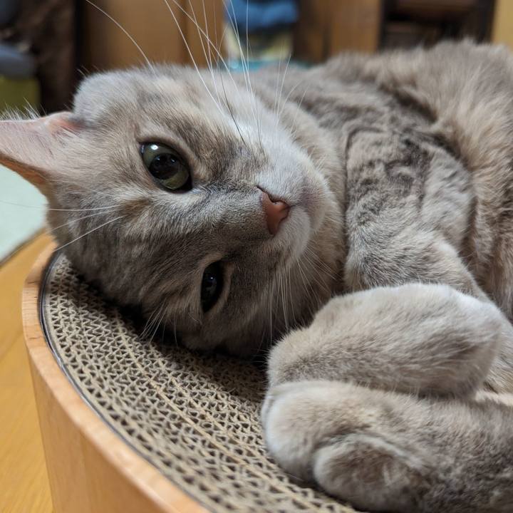 1b63f866 db53 4ec4 b443 063828701a44 1708315940330