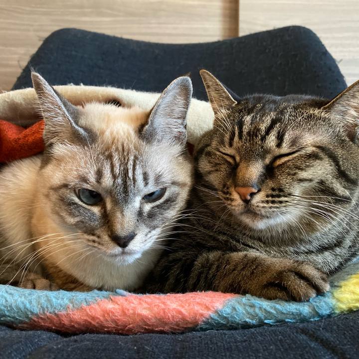 1b641518 5946 4a7f 8c22 212ee3925785 1640670353923