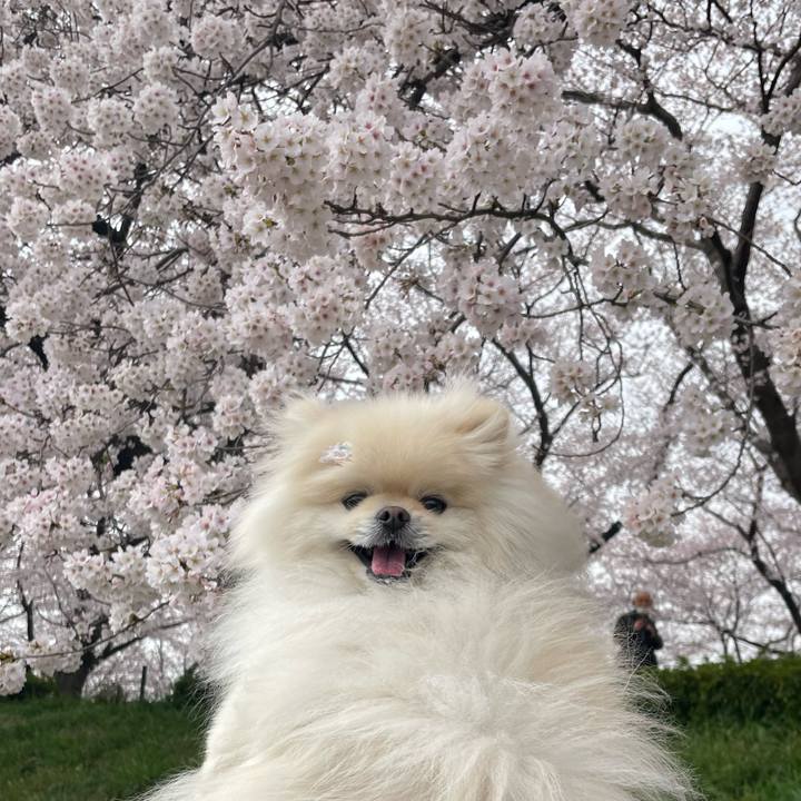 1b642fee b3bc 4594 aa72 6fec1d4cfcc1 1648607225031