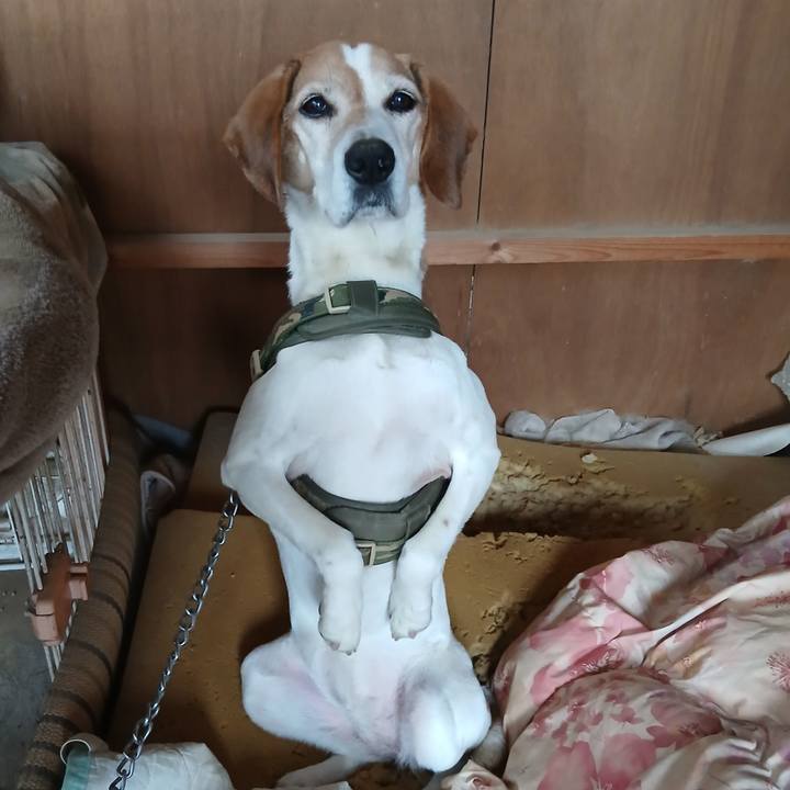 1b6445f1 f248 4018 8810 4feb7051ab5e 1772518607094