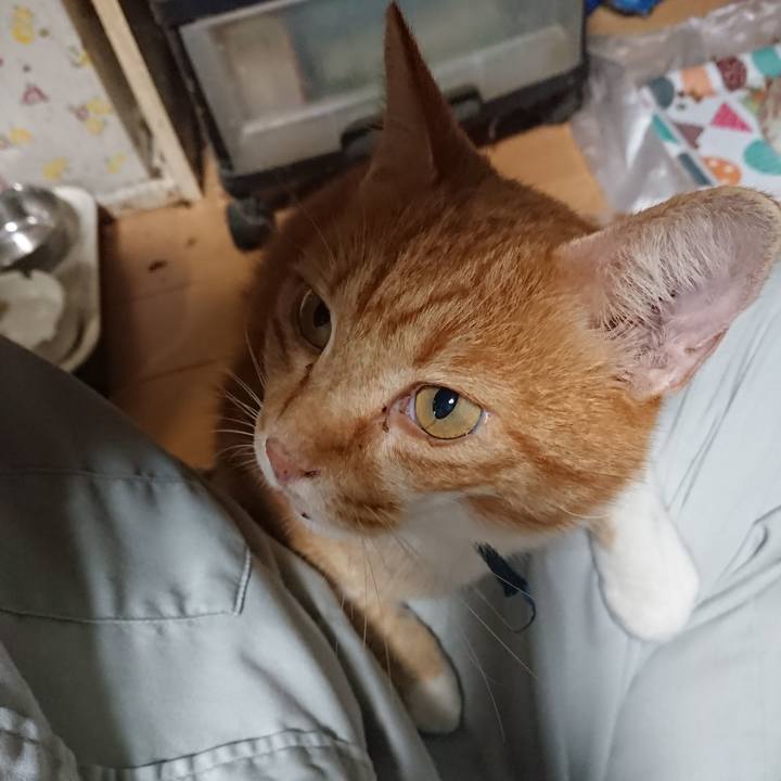 1b64851b 4512 441b a1e0 3e4f2806b6a6 1600418930618