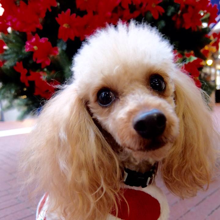 1b64ac9f 750a 42e8 9287 0092b9d9c81b 1514034343791