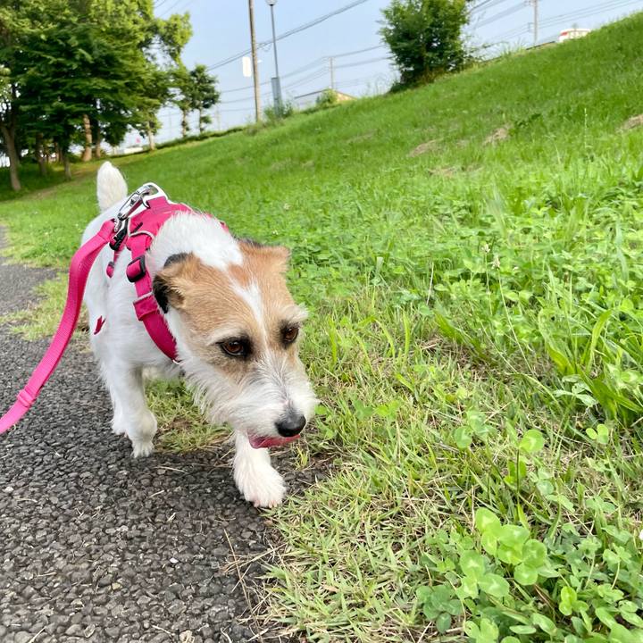 1b64bd8e 84e2 48f0 a5ea 06e87daa3c50 1655715524730