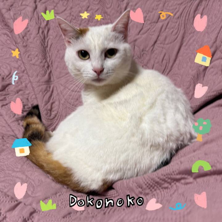 1b64cb22 834c 4d33 baf7 05d45c4020f4 1741084011309