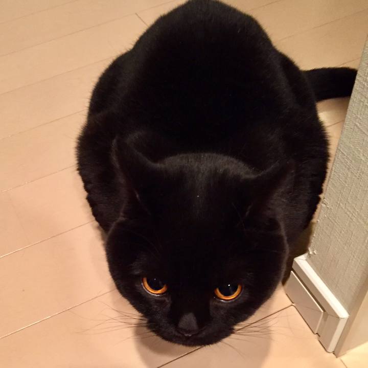 1b64e146 91f9 4baa 9b7b 23b4dd97324a 1516363830021