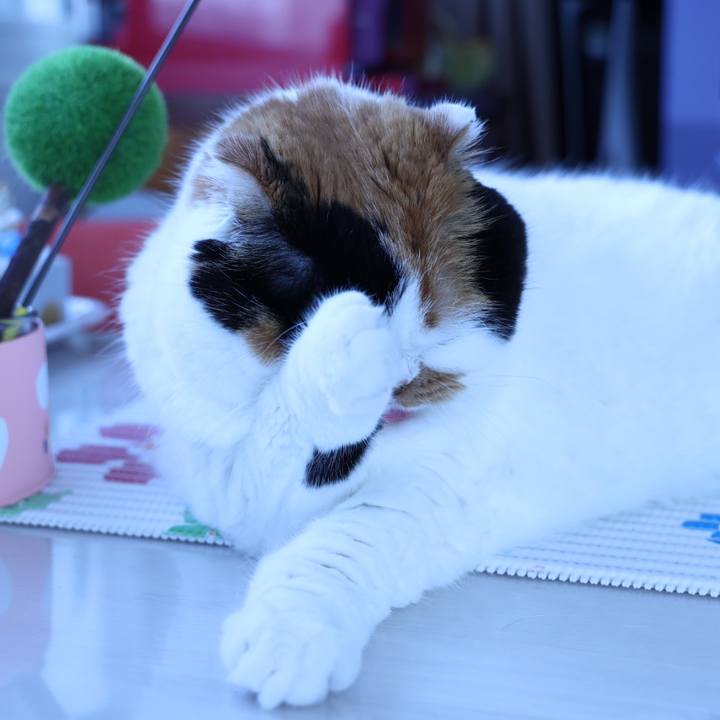 1b64e9fd 39b7 4cd7 b9fe b94a0f83696f 1687578839386