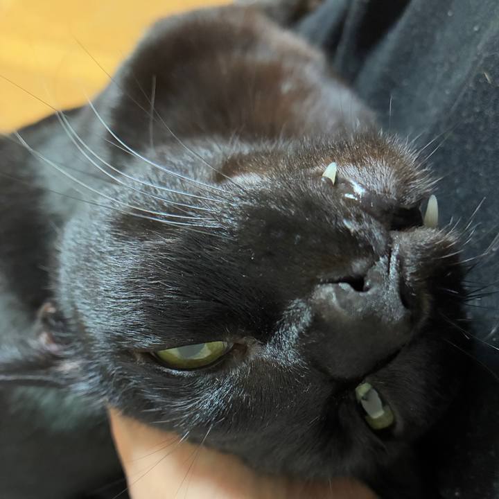 1b6508f0 b21d 4b7e a5a7 9a2ed4ea5d78 1767691477953