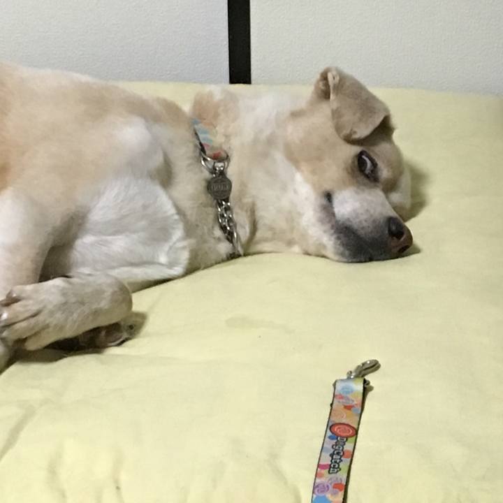 1b65167f fb77 4eec 8045 30241c7d250f 1537877475751