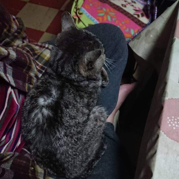 1b651a1d ae6f 44dd 9e19 d6f9edc90edb 1579428377763