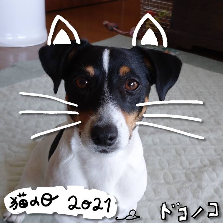 1b653ab0 158f 465a 914d 0ca2e766cc33 1613983174138