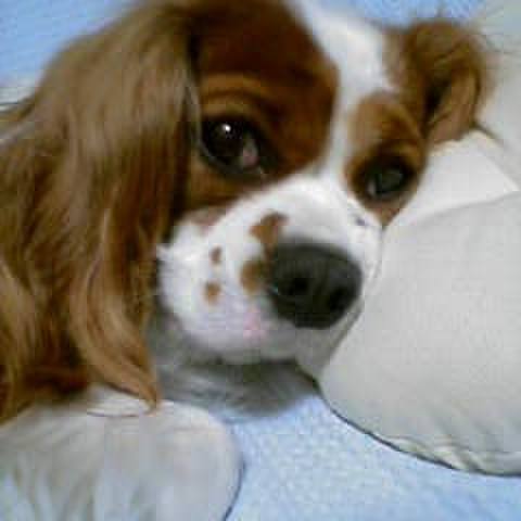 1b655ccd d0a0 4267 94c3 59a5766c4168 1511152072646