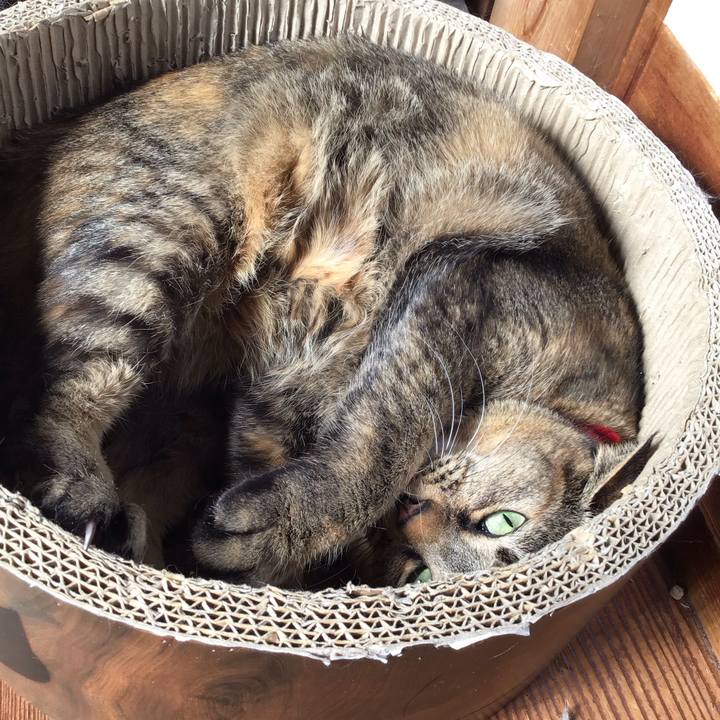 1b65633e c658 4efb a7c8 c1575f773baa 1738754559773