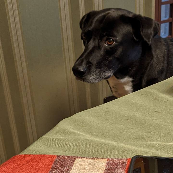 1b65c1b7 11ce 43ed af6a 213f18ea26e0 1660735155870