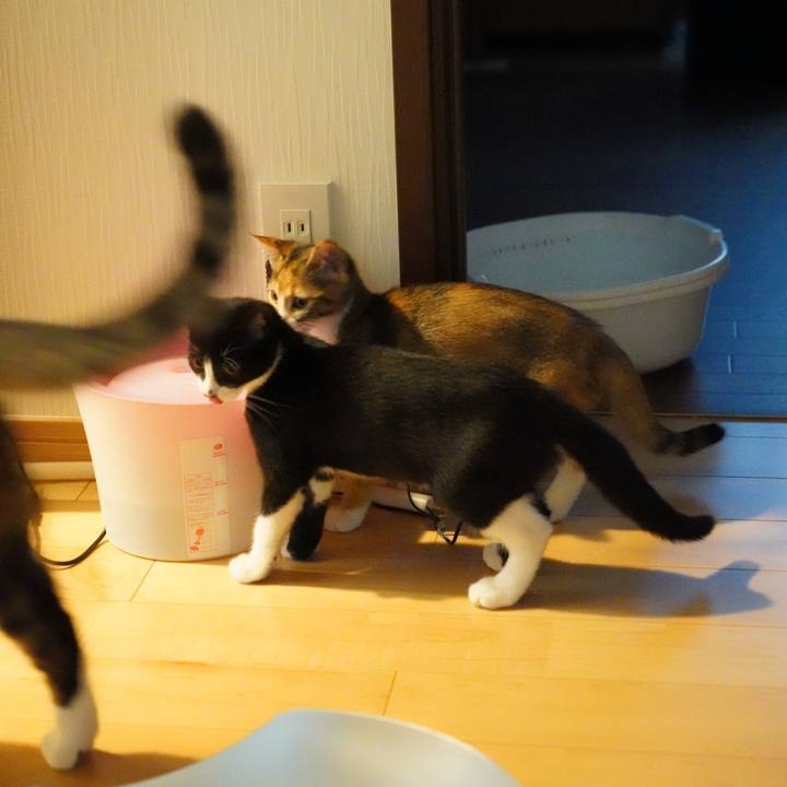 1b65ccf9 1180 4838 9687 4ac72eea6767 1570146847069