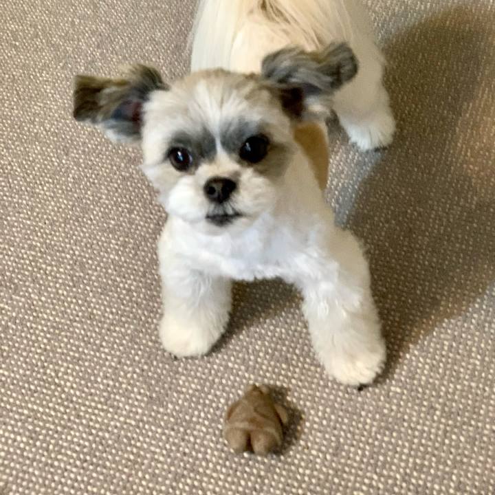 1b65e470 59e5 4f4f bbc7 b45df775553a 1619788352019