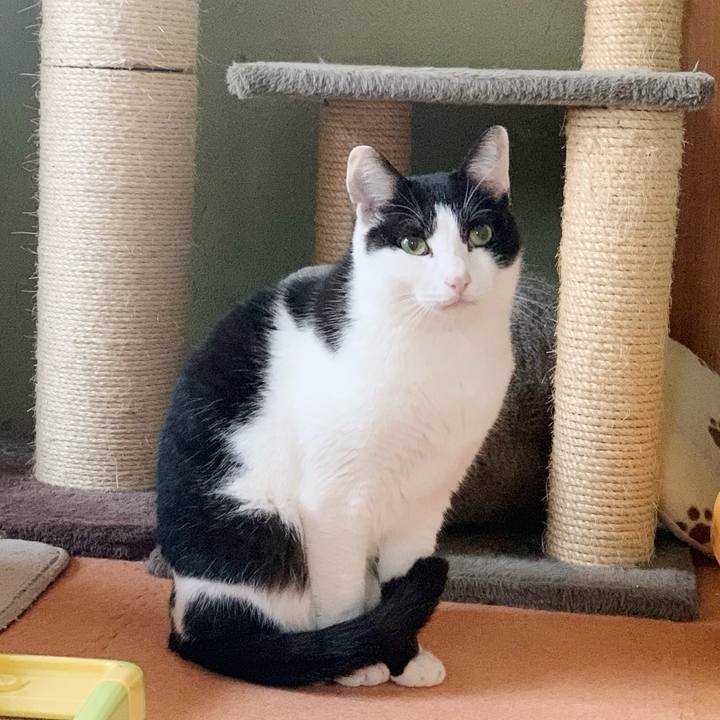 1b6600ae 04a7 4b78 bbd5 36edf8f3f1b0 1544581193698