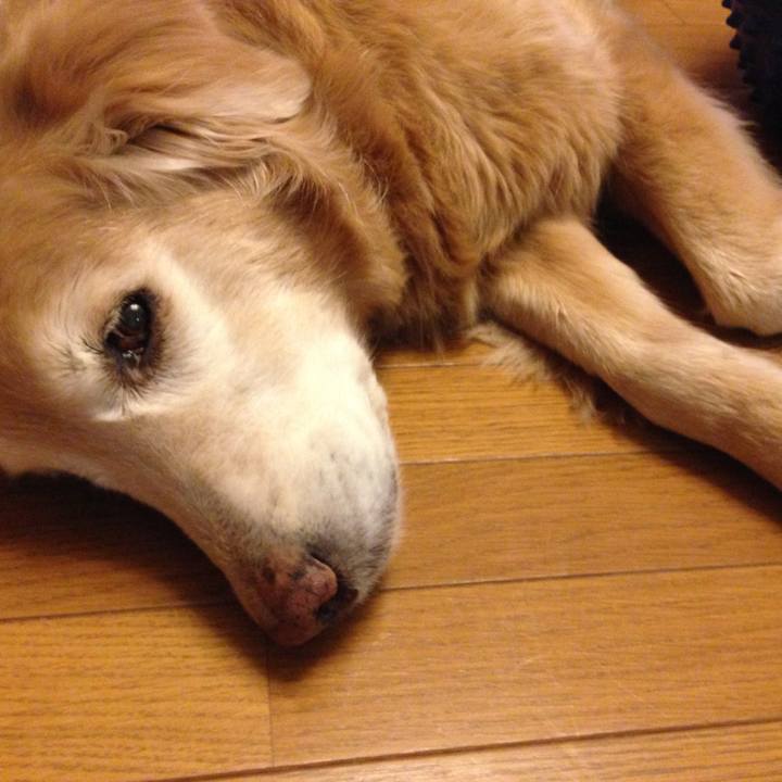 1b6609ba 3402 4eee be30 027b9ab7652b 1766134072792