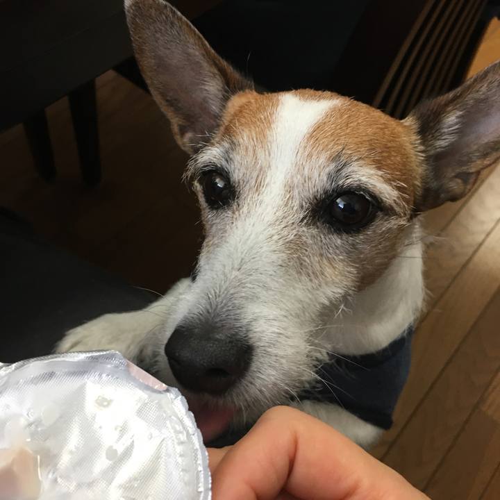 1b664242 67ef 4ef2 9b35 ab8c5990e8f7 1613431777424