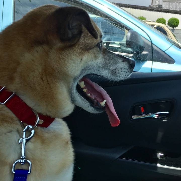 1b66829a 2756 452d 945e 6ba0d087b555 1588931973422