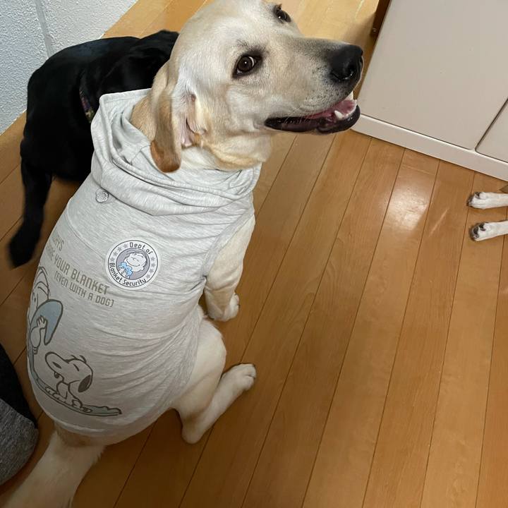 1b668b61 c273 42fd 9bc4 85f41961b1c3 1632319988554