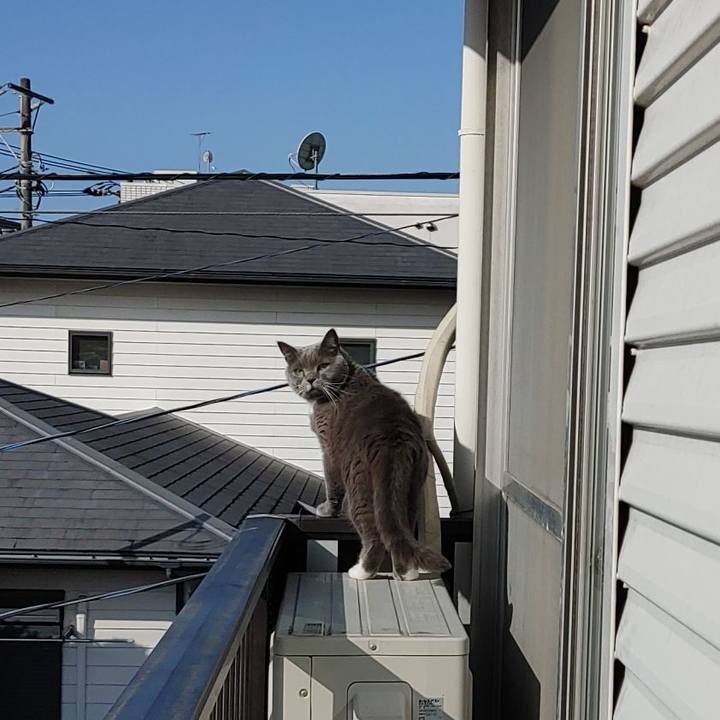 1b66938b 2874 497c 97cd 2108f791d181 1647731732785