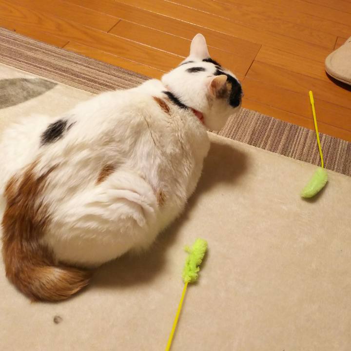 1b66b205 a442 4238 b655 af0d161808a7 1516273371622