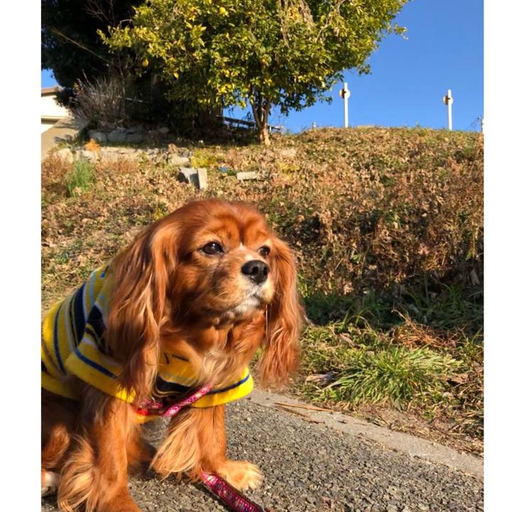 1b66d7b5 5365 40e6 b26e 7e6995d6171d 1641810730100