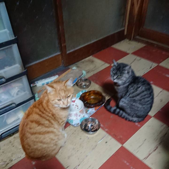 1b66d969 1778 4e43 ad3d 905eafb545dd 1576141015257