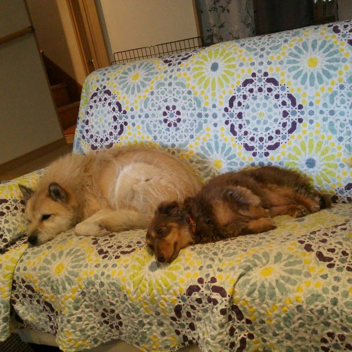 1b66f859 526c 47ea ac94 967d42b9aafb 1528603923190