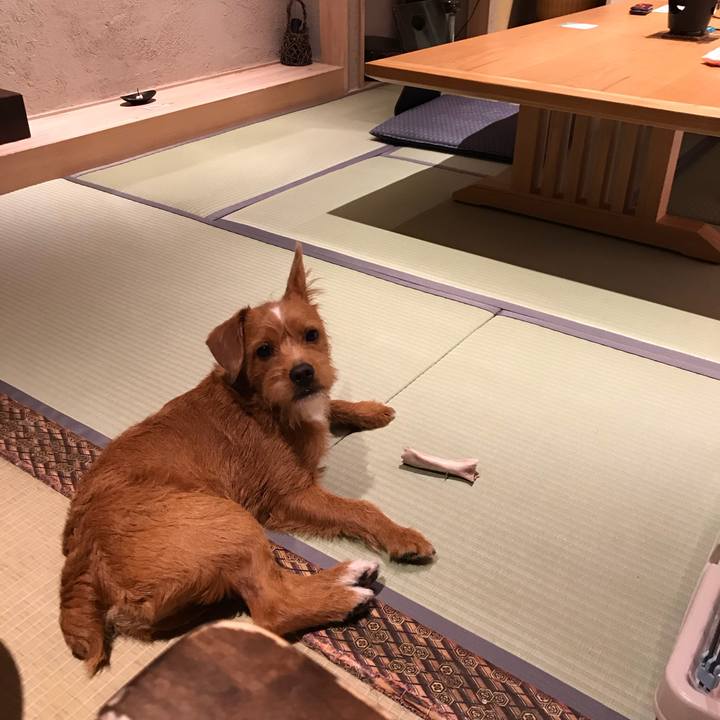 1b6700fc 941d 43f2 841d c2e45302bff2 1529065983008