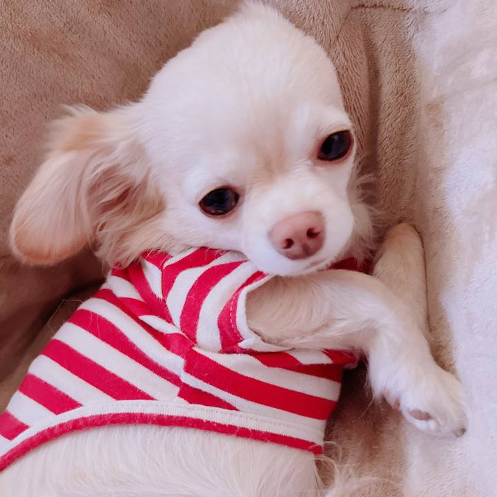 1b67131d eaa2 4d40 b6e8 beddba021915 1676964113410