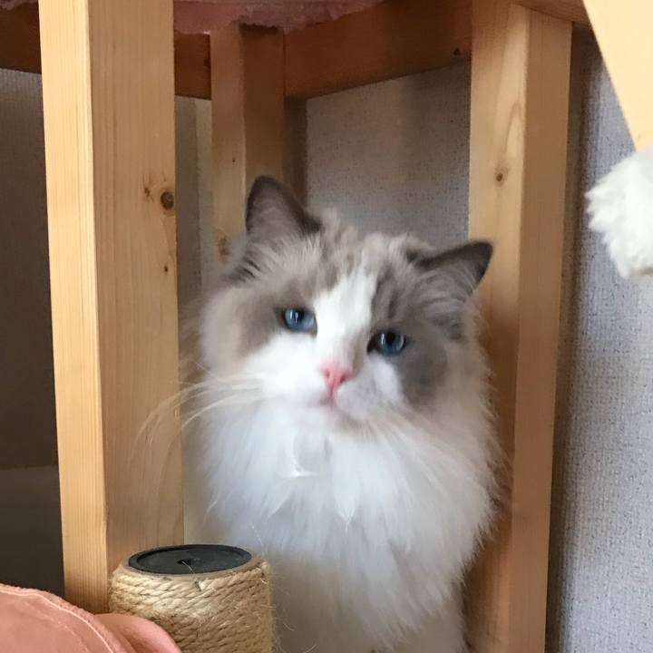 1b67a486 a0e3 43c0 9372 f1abad527c4e 1573244667171